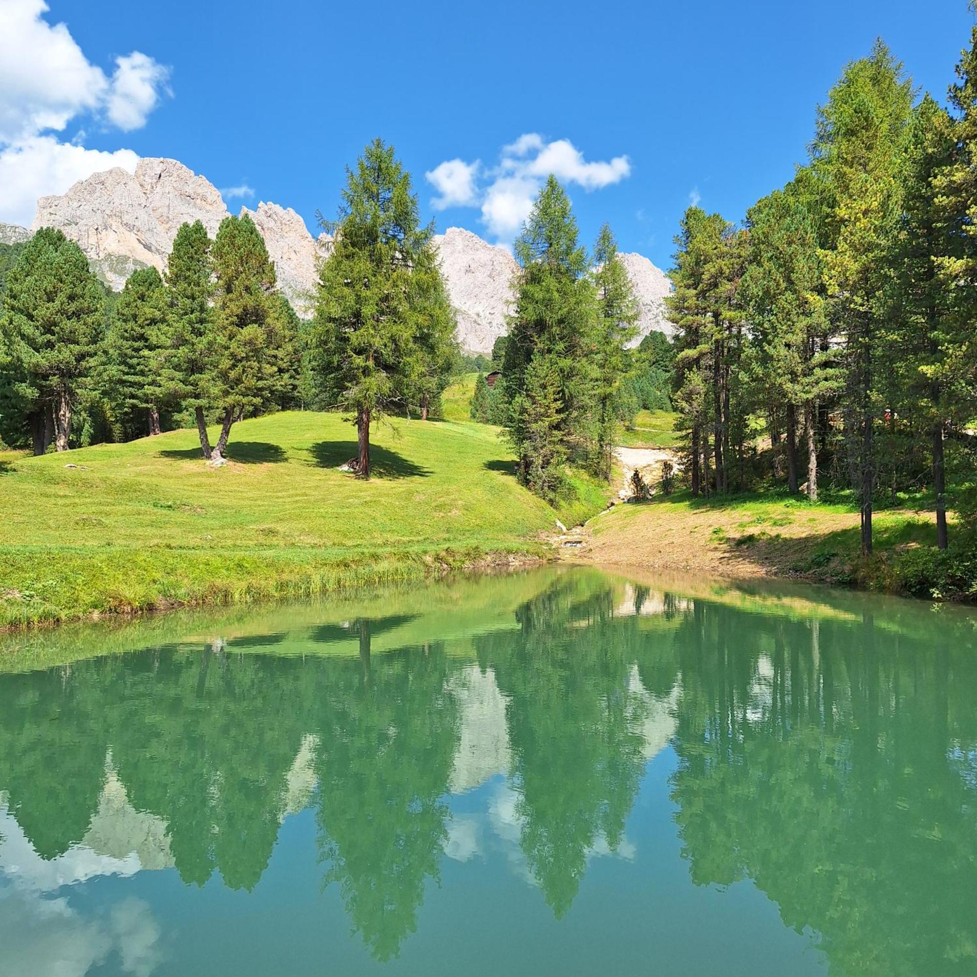 Apartment Romana Selva di Val Gardena Exterior photo